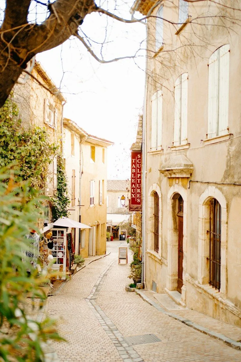 a cobblestone street in a small town